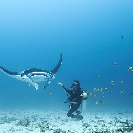Blue Marlin Dive Komodo Labuan Bajo Εξωτερικό φωτογραφία