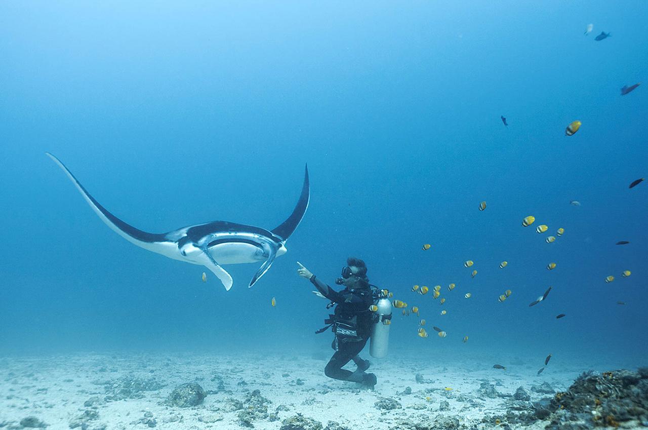 Blue Marlin Dive Komodo Labuan Bajo Εξωτερικό φωτογραφία